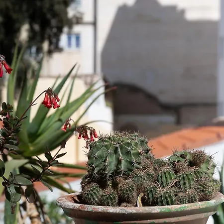 Apartment Athenian Cypress House Athens
